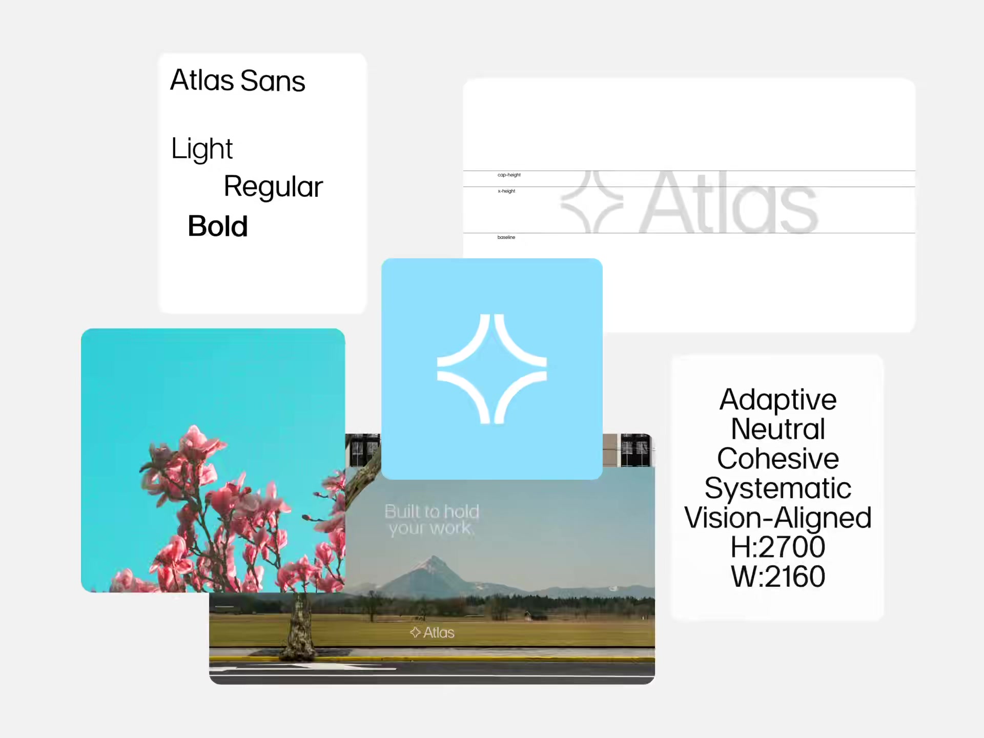 Atlas1 frame 6s — type and blossoms